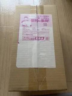 未開封！スペシャルBOX ポケモンセンターヒロシマ