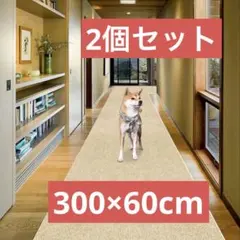 Item thumbnail for item 9f9cef9b-131b-4da2-8a5f-11da394da424