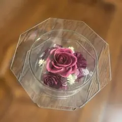 赤い薔薇、ブラザードフラワードー ム型24✖️20 MG_2610s.png?v=1719216826