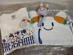 【新品未使用】1st兎田ぺこらいぶ　応援セット 1st兎田ぺこらいぶ「うさぎ the MEGAMI!!」ライブグッズ 受注