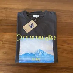 新品 ルースイソンブラ ドミンゴ ロングスリーブTシャツ フォトT