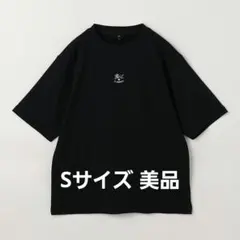 【IL BISONTE×MIZUNO】Ｔシャツ完売品　Lサイズ IL BISONTE×MIZUNO】Tシャツ完売品Lサイズ! - メルカリ