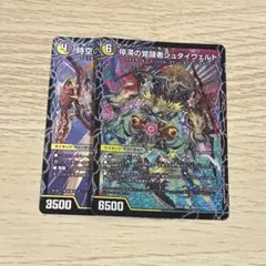 時空の停滞シュタイヴァル/停滞の覚醒者シュタイヴェルト2枚