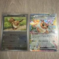 イーブイマスターボール&ex 2枚セット