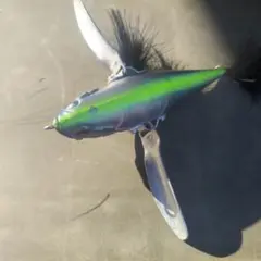 Item thumbnail for item 364adbb0-77a8-4118-bf49-47d549dedb93