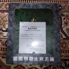 300個限定当選品　神羅万象チョコ　鳳凰学園生徒名簿　ファイル 300個限定当選品 神羅万象チョコ 鳳凰学園生徒名簿 ファイル | ヤマダ