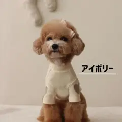 犬 服 カットソー Tシャツ ハート インナー 春 秋 かわいい アイボリーM