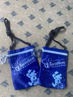 東京ディズニーリゾート バケーションパッケージ 2個セット