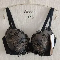 2025年最新】ワコールブラジャーd75の人気アイテム - メルカリ