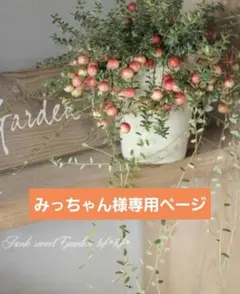 みっちゃん様専用ページです.・*’’*・.♬