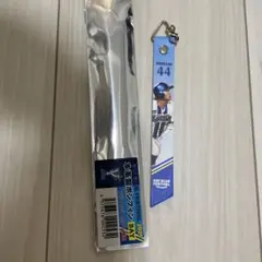 石上選手 2025 DAY BLUE FESTIVAL ボンフィン