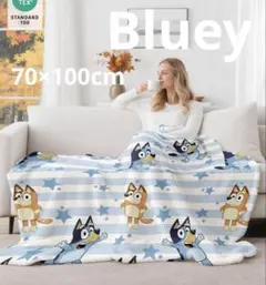 【Bluey】ブランケット＊水色ブルーイビンゴ