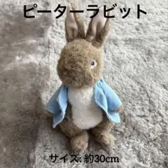 ピーターラビット ぬいぐるみ 人形本体　約30cm