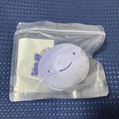 BOYNEXTDOOR プネクド ポップアップ キーリング ウナク ウナギ