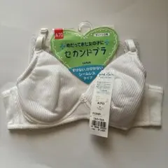 Item thumbnail for item 852ef4e4-bdbf-42f8-904e-4a429abf5b83