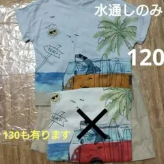 新品海と鮫車Ｔシャツ水色系120ブリーズマーキーズ好きに