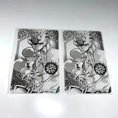 家庭教師ヒットマンREBORN！ 箔カードコレクション 笹川了平　2点セット