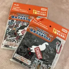 CHUMS 吸水マルチクロス H300×W300mm