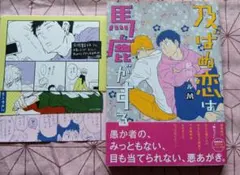 及ばぬ恋は馬鹿がする　BLコミック　鮎川ハル