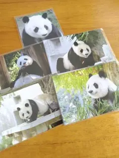 Item thumbnail for item 04682111-9db8-4e34-8067-880c67f4e115