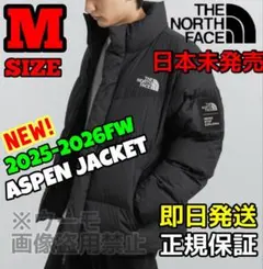 新作 THE NORTH FACE ASPEN EX Mサイズ ブラック
