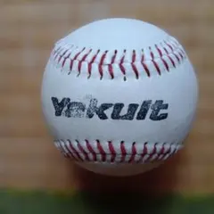 Yakult 硬式野球ボール サイン入り長嶋一茂