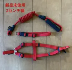 Item thumbnail for item c2a4a363-1f96-4977-8995-5d98dc63aa83