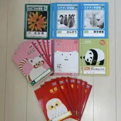 小学校ノートまとめ売り 19冊セット＋1冊おまけ付き！