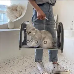 Item thumbnail for item 33a84630-9ab7-47b6-b3be-a5b57ee01997