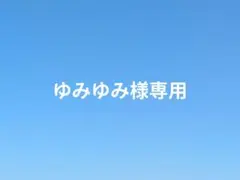 ゆみゆみ様専用