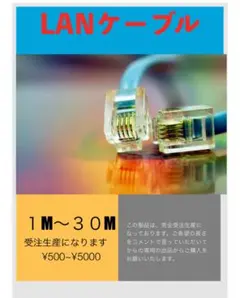 LANケーブル　cat5e