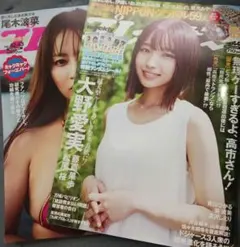 プレイボーイ　2冊セット　No.42.43.44　　DVDつき