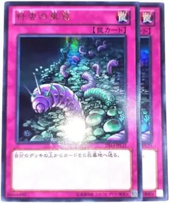 早い者勝ち！　大人気！　遊戯王　針虫の巣窟　DS14　ウルトラレア　2枚セット
