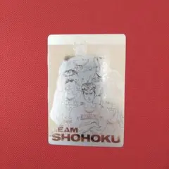 Item thumbnail for item 8bf072ae-46fb-442e-a393-34ded27ad0a7