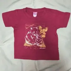 アドベンチャーワールド　パンダ　Tシャツ　キッズ
