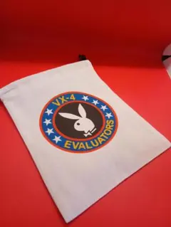 Item thumbnail for item 5a7471a0-34fc-451e-adeb-8d2addd98a96