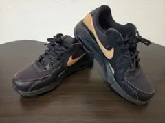 Item thumbnail for item f1b94608-5a1e-4201-b540-70495775489a