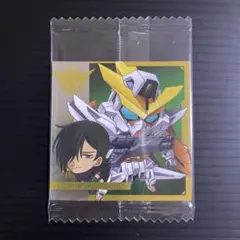 機動戦士ガンダム アレルヤ•ハプティズム&ガンダムキュリオス MG2-28 R