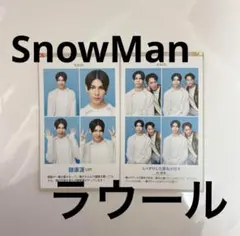 開運証明写真 ラウール SnowMan 2枚セット テレガイ TVガイド