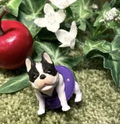 Item thumbnail for item 31831145-45f4-421f-8b7a-caf009801838