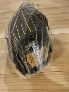 阪神タイガース対楽天イーグルス 6/17グローブ 近本光司選手監修 