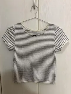 リブ Tシャツ