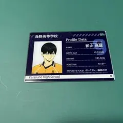 ハイキュー プロフィールカードキーホルダー 影山飛雄 シークレット