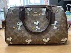 【 チェリー様専用 】