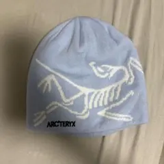 美品 arc'teryx beanie vintage ニット帽 y2k 恐竜 - メルカリ