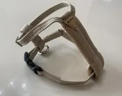 Item thumbnail for item 70ebd866-d678-49a6-9fd8-82610e3eafe7