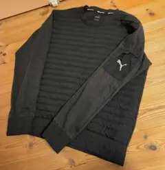 Item thumbnail for item 4402202f-3a0e-48c4-8f0b-ee9d797c8d07