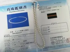 本珊瑚 ピンク珊瑚 サンゴ ネックレス 大珠 12mm 高品質 宝石鑑別書 
