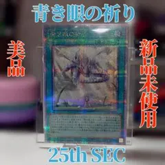 2025年最新】青き眼の祈り 25thの人気アイテム - メルカリ