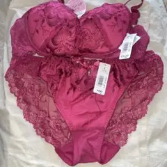 レディース　ケリアレース ブラジャー&ショーツ　⭐️c75